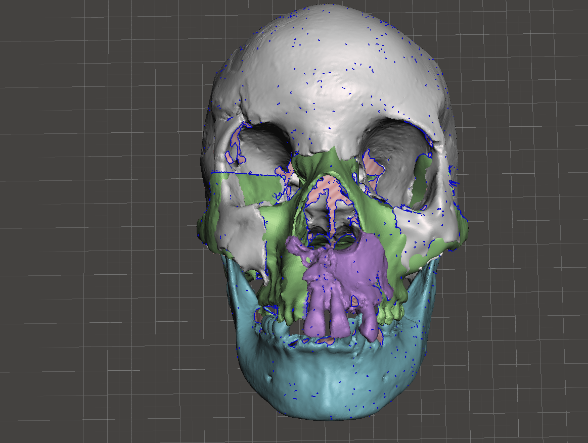 color skull